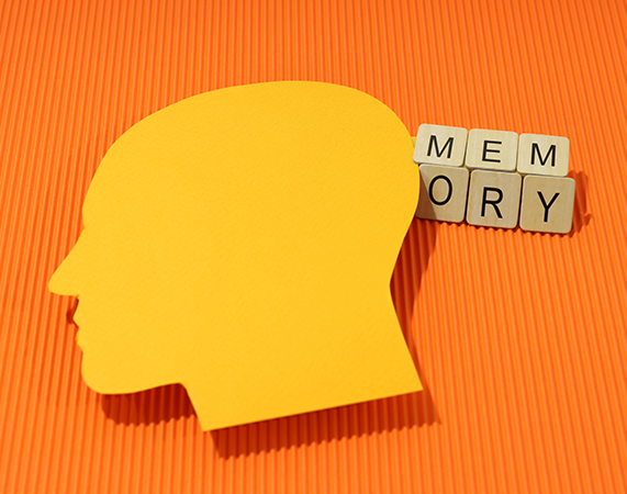 memory-techniques-course